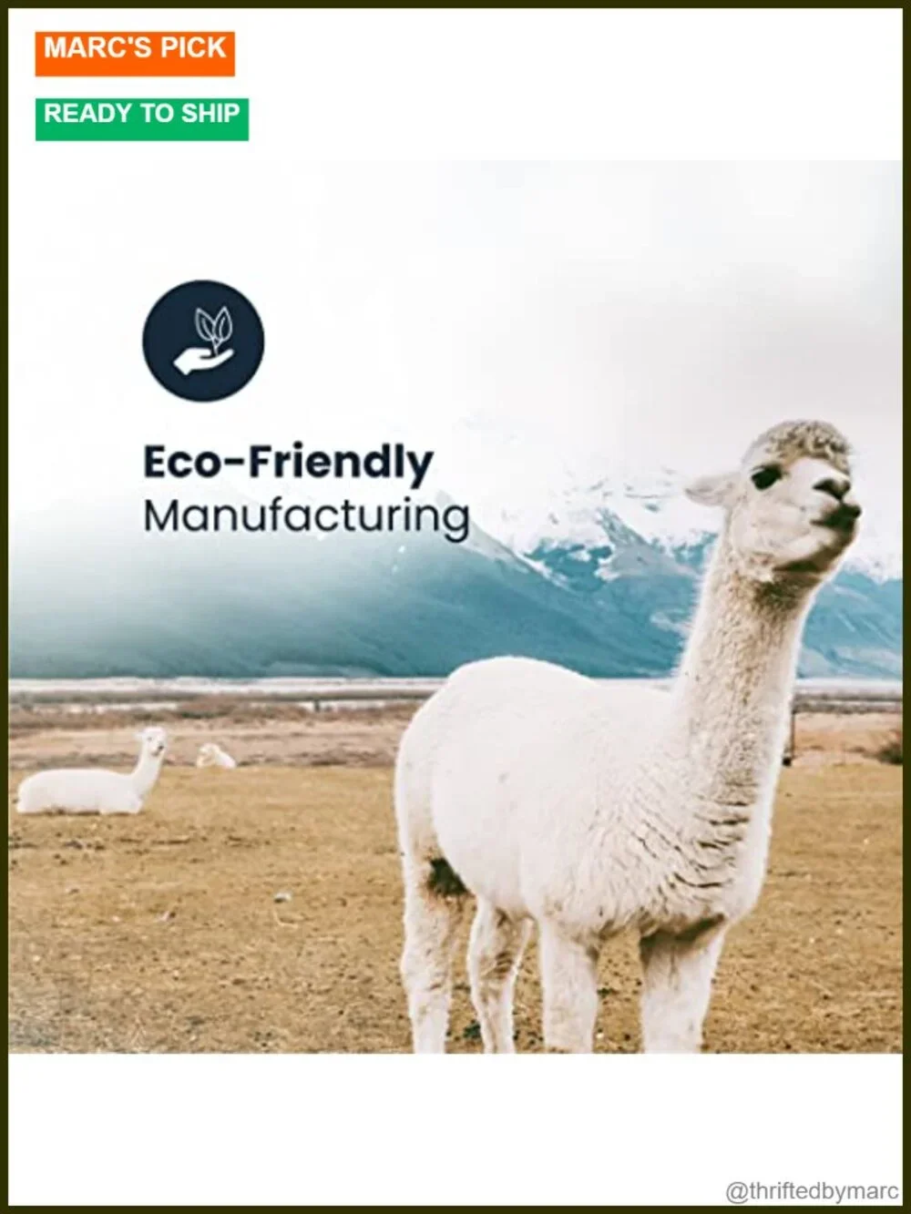 N/A alpaca wool